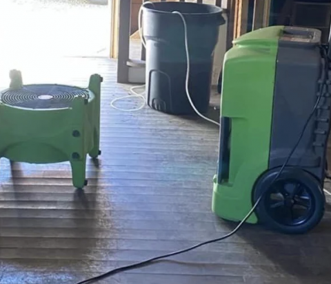 Image depicting the Service Mold Remediation 